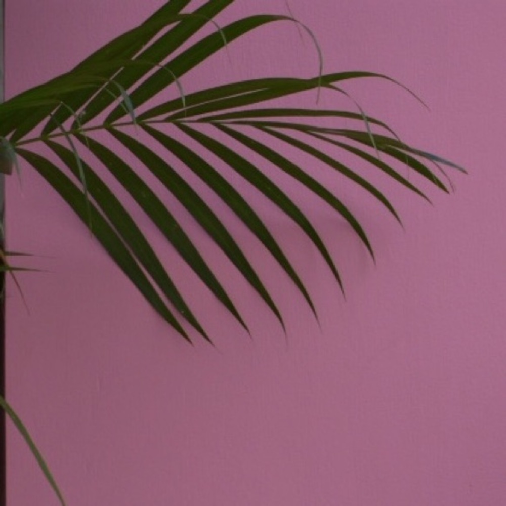 Meet your Posher, Eva